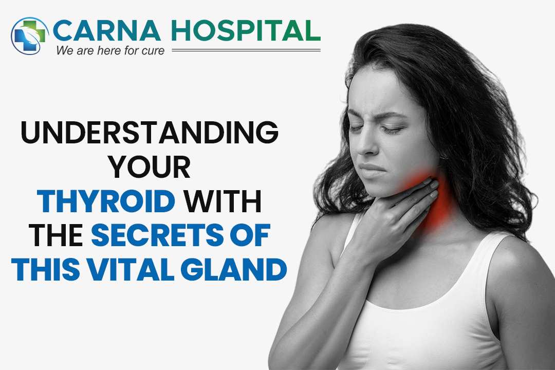 Understanding Your Thyroid with the Secrets of this Vital Gland
