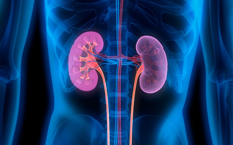 best nephrology opd service in nagpur